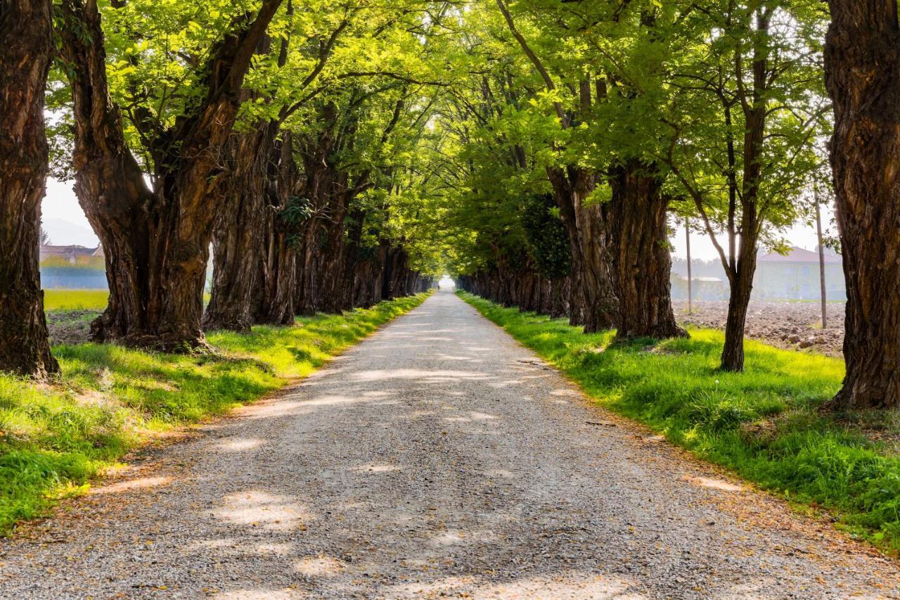 Agriturismo Le Corti Della Gualdana 沃盖拉 外观 照片